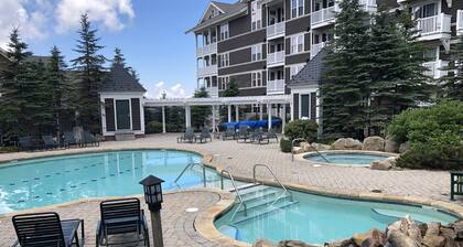 Allegheny Springs Slope Side Penthouse - Amazing Views