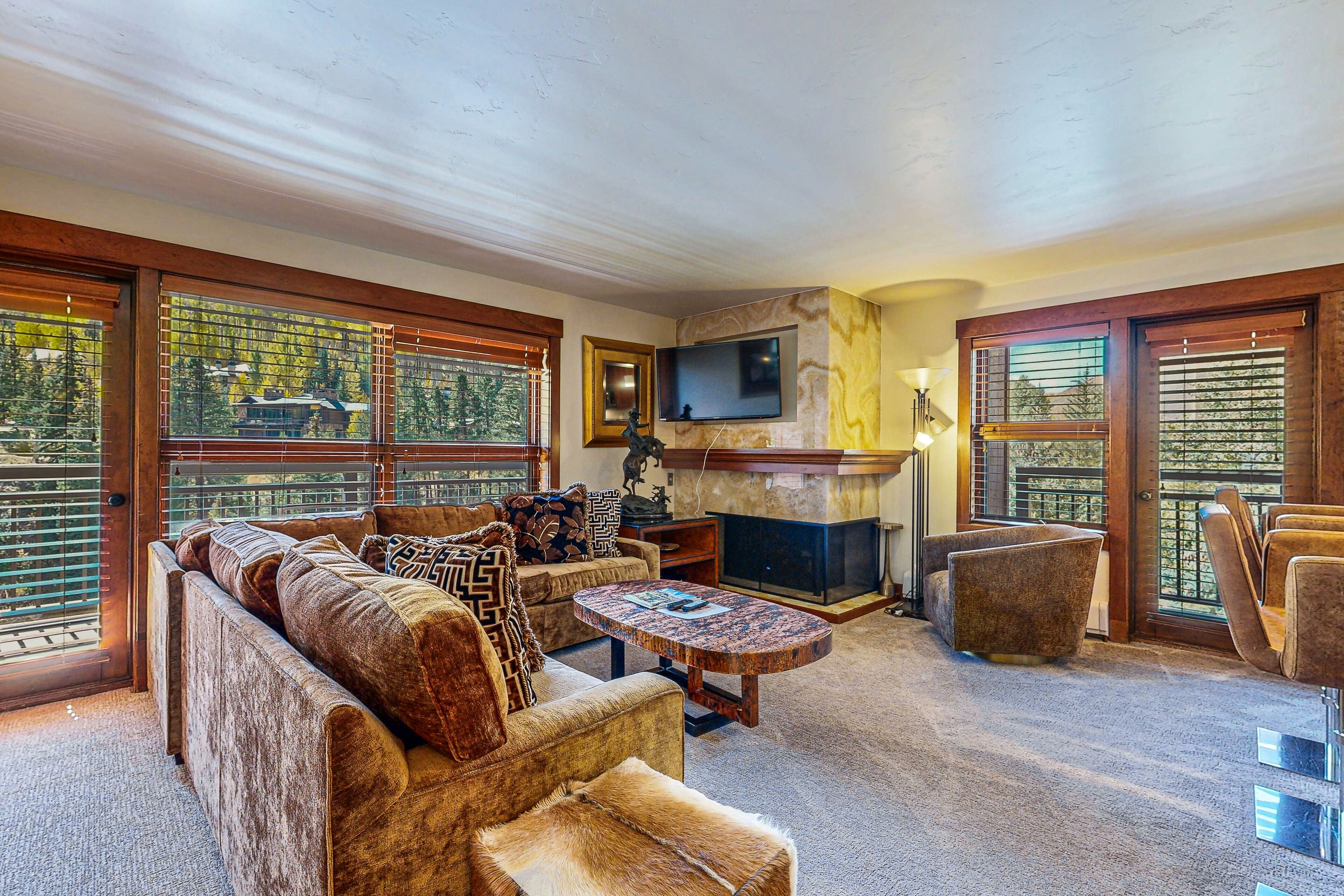 TV, fireplace, books