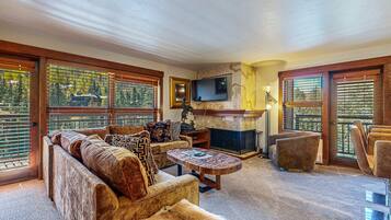 TV, fireplace, books