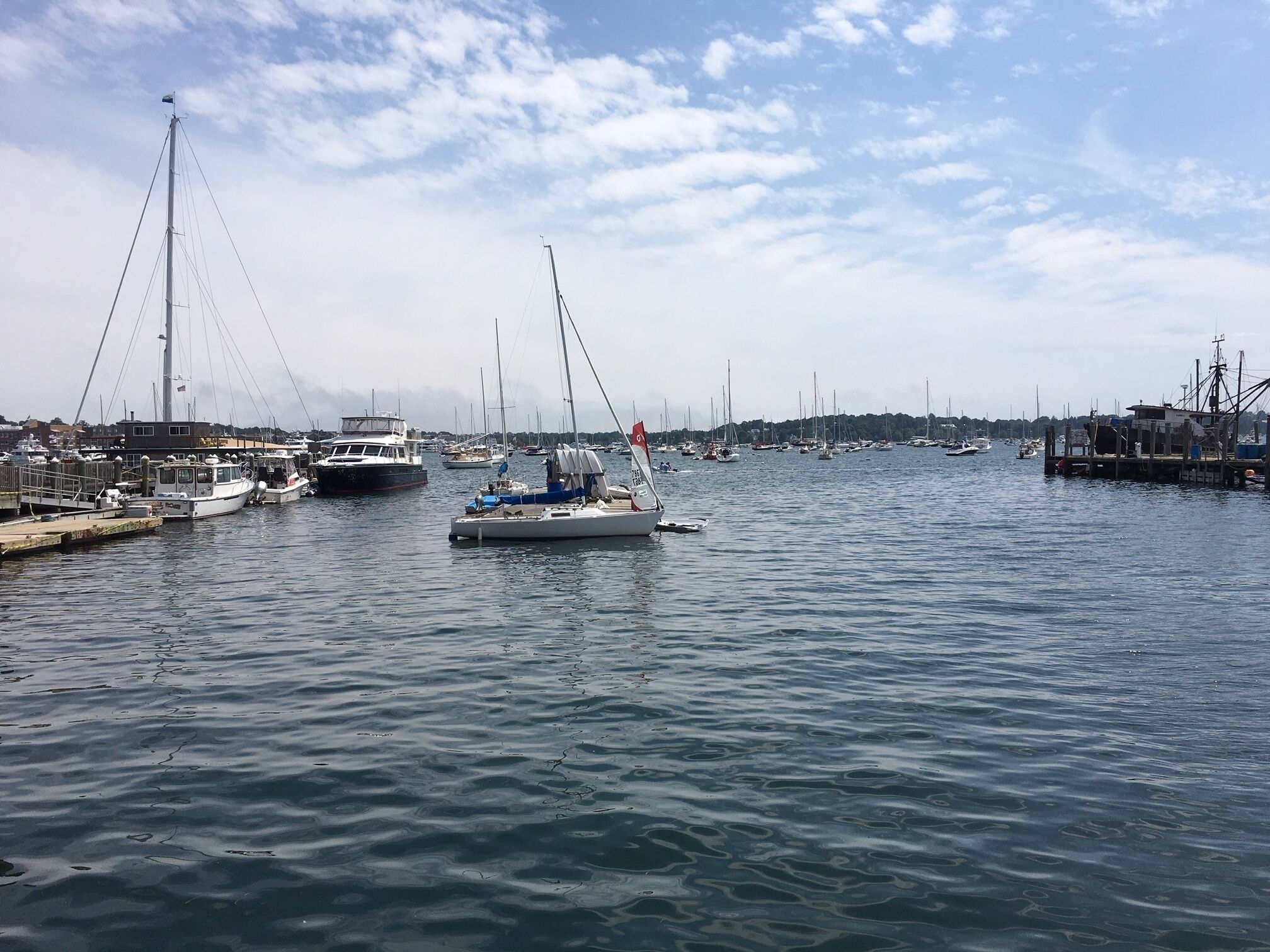 A marina with multiple sailboats docked at wooden piers.