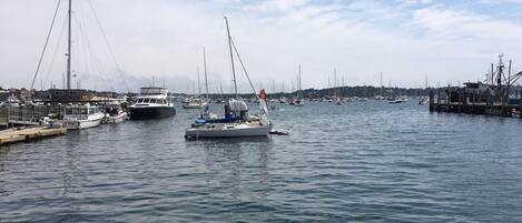 A marina with multiple sailboats docked at wooden piers.