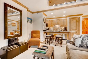 TV, fireplace, books