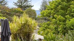 A garden with various plants and a pathway leading to a body of water. - Sempre 7 Sunshine Beach (Sunshine Beach)