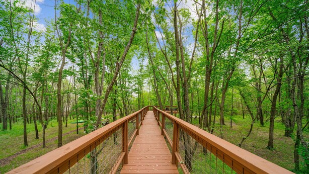 A wooden bridge in a forest with a metal railing and a clear sky. - GrandLake*Kayak*ForestView*Firepit*Kings*Lakefront (Grove)