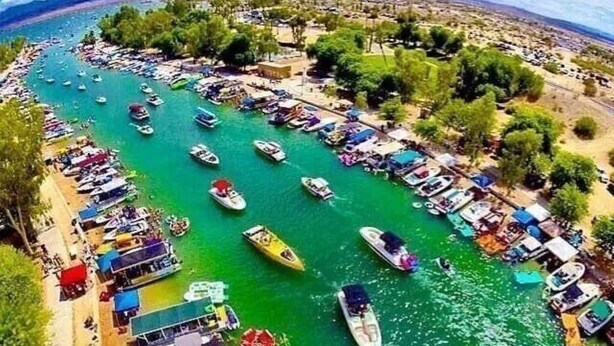 A marina with numerous boats docked along the shore, surrounded by greenery and a clear sky. - RIVERFRONT PARADISE OASIS W/ PRIVATE BEACH & BOAT DOCK (Mohave Valley)