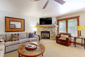 TV, fireplace, books