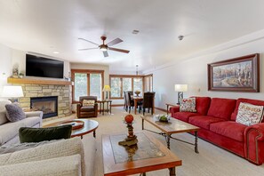 TV, fireplace, books