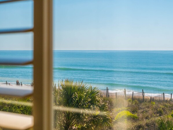 Vista de una playa con una valla de madera y palmeras.