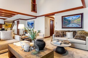 TV, fireplace, books