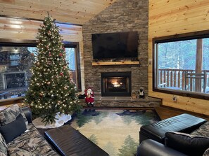 Smart TV, fireplace, video games, DVD player