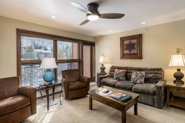 Télévision, cheminée, livres