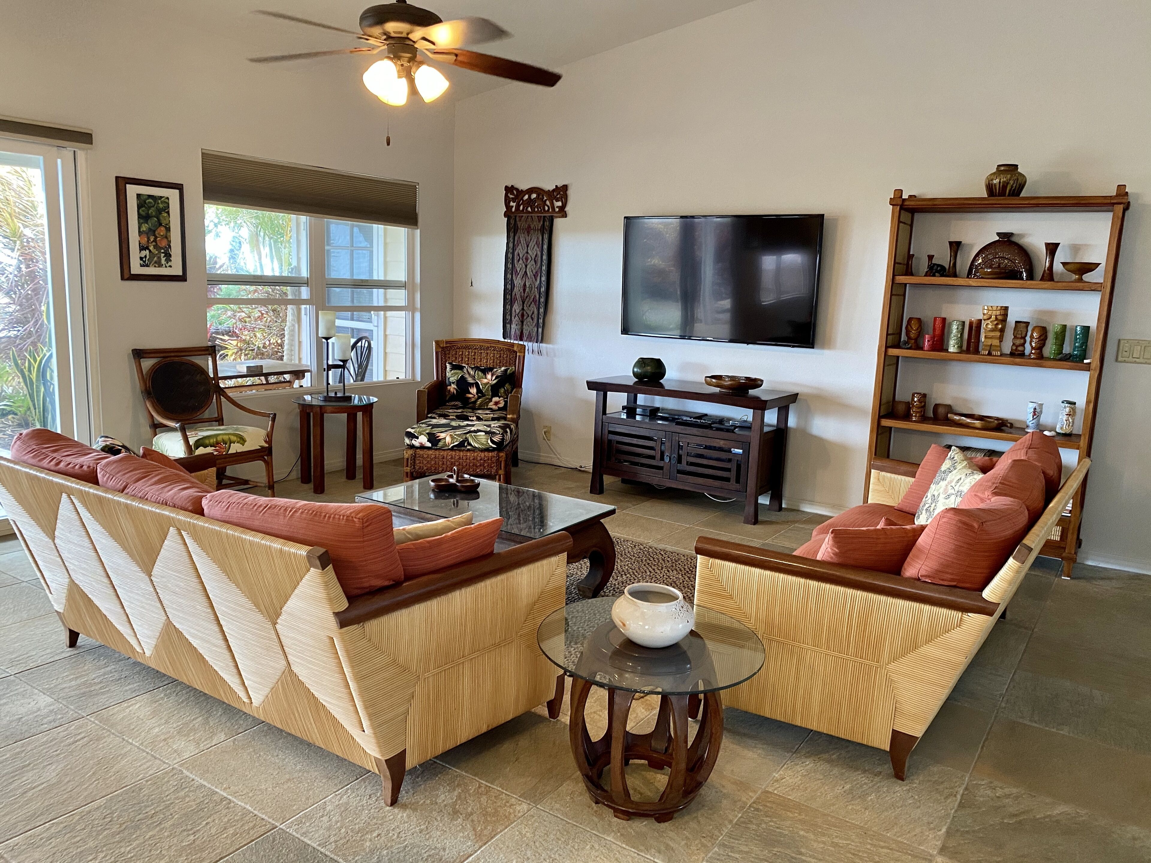 Smart TV, DVD player, books, video library