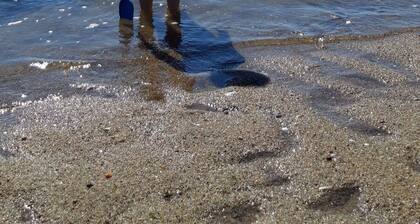 Gîte in the heart of the medieval city