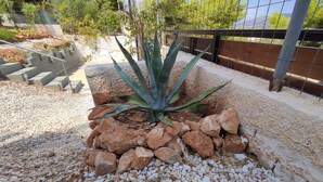Un espace jardinier agrémenté d’une grande plante d’agave, entourée de rochers et de galets.