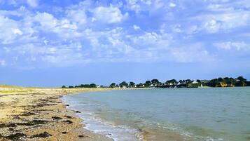 Una playa de piedras y algas marinas, cielo despejado y casas a lo lejos.