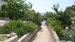Un sentier bordé d’une végétation luxuriante et de murs de pierre, qui mène à un point d’observation offrant une vue lointaine sur un bâtiment.