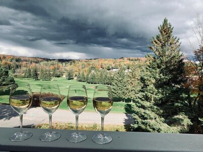 Modern Muskoka Executive 2 Bedroom Condo/Loft. Minutes to the Provincial Parks!