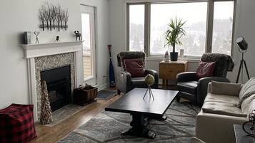 Smart TV, fireplace, books