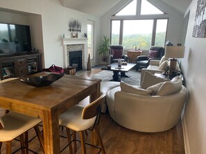 Smart TV, fireplace, books