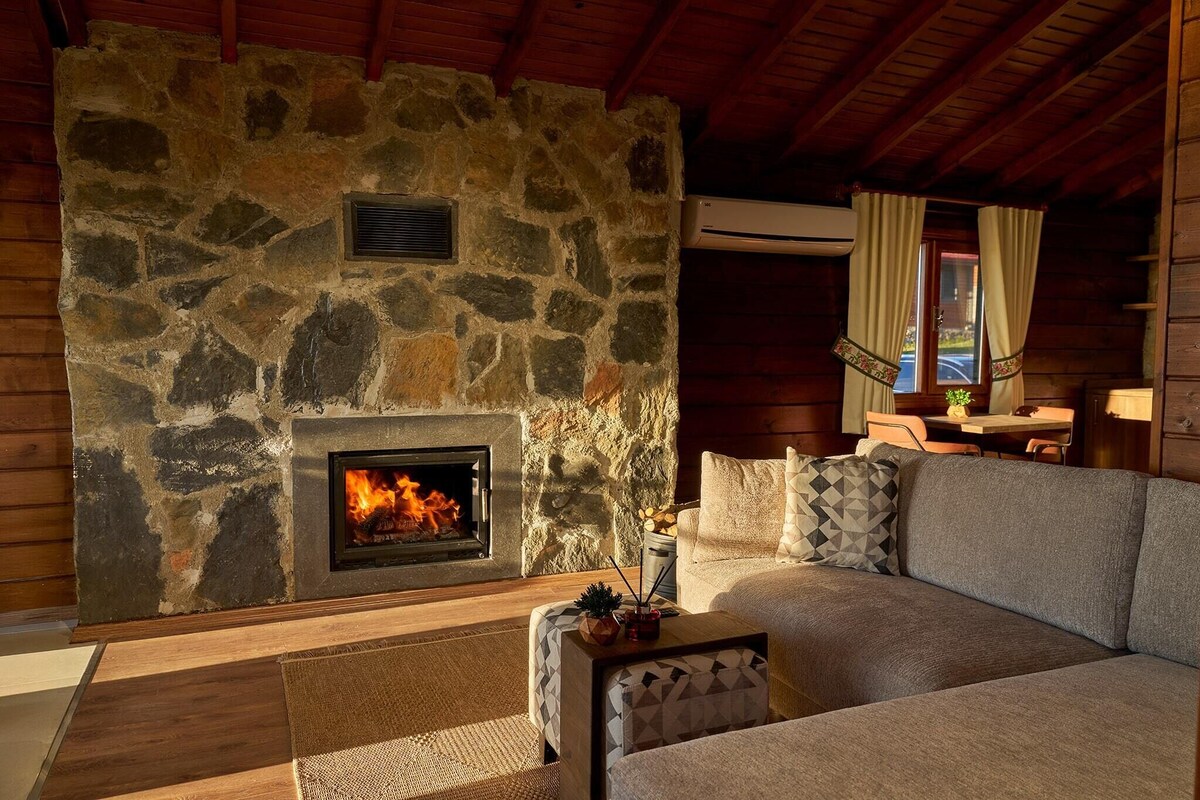 A stone fireplace with a fire, a sofa, and a small table with a plant.