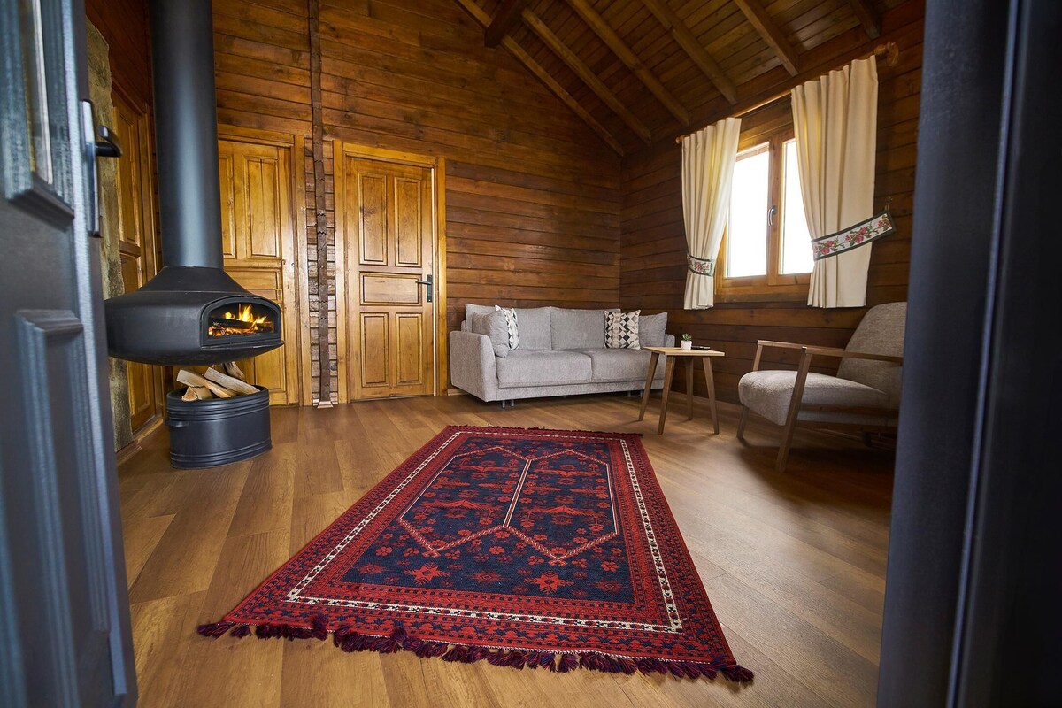 A cozy log cabin interior with a wood-burning stove, a sofa, a chair, and a patterned rug.