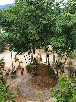 Jardín
