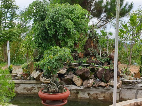 Phương Đông Homestay