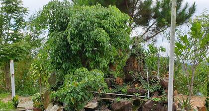 Phương Đông Homestay