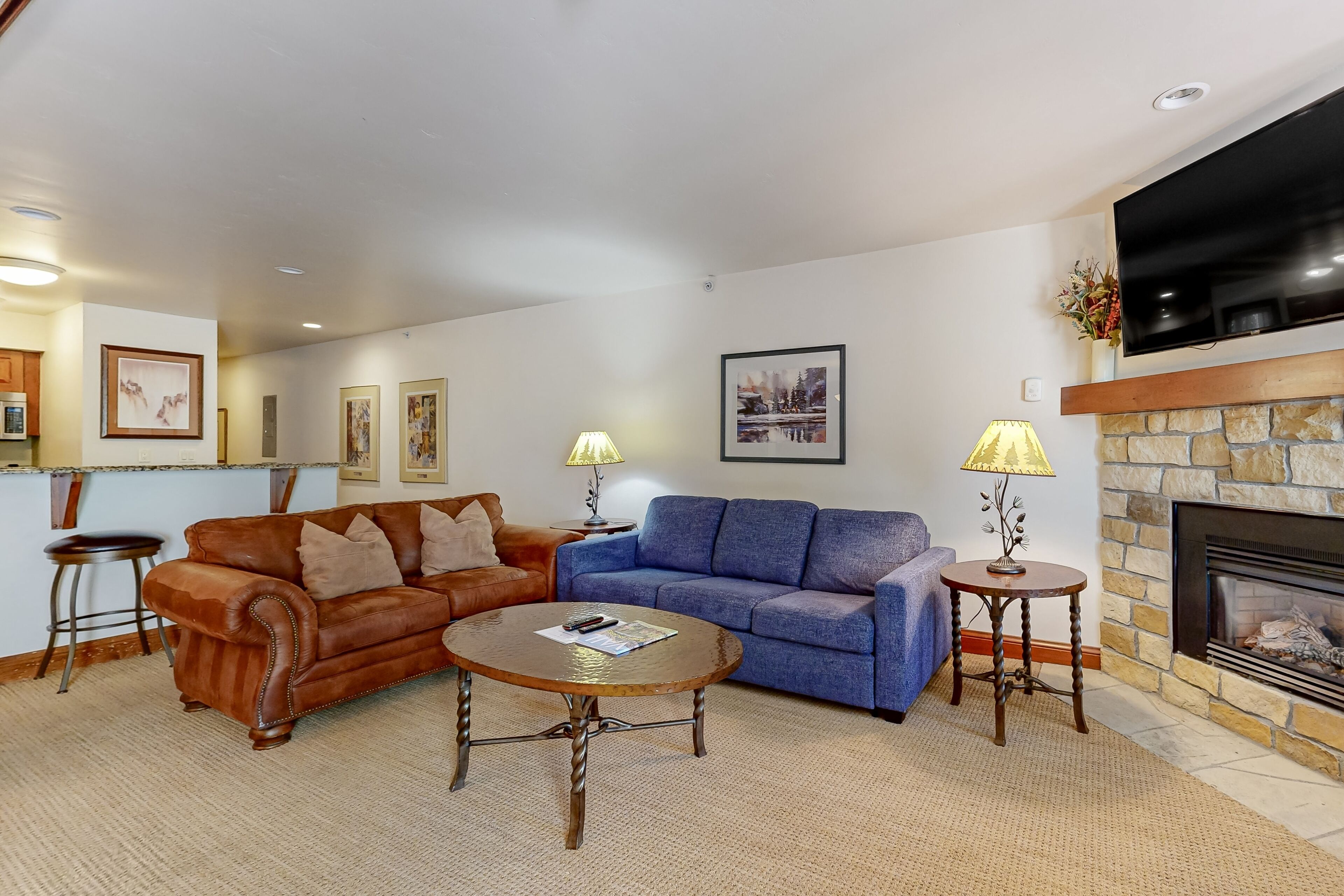 TV, fireplace, books