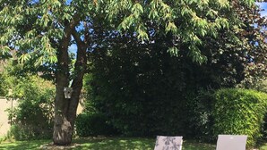 Two white lounge chairs with dark cushions and a tree in the background. - Charming house with garden, close to the historic center (Bayeux)