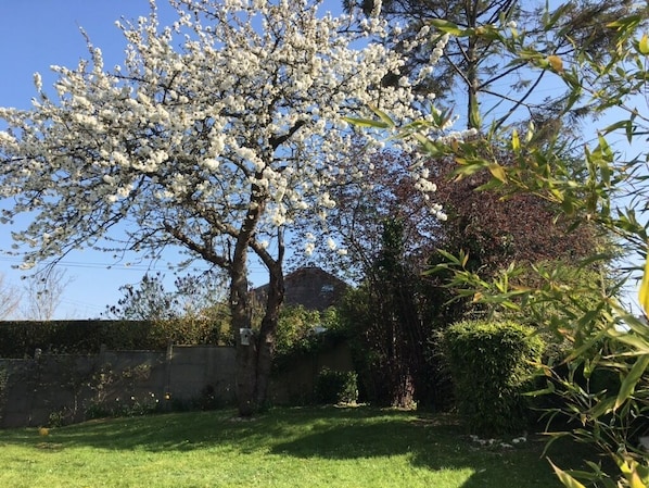 Property grounds - Charming house with garden, close to the historic center (Bayeux)