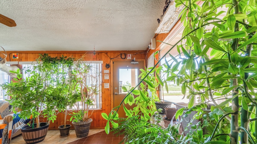 Lone Star Inn by OYO Vernon Texas Hwy 287