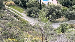 A house with a swimming pool, surrounded by greenery and a winding road. - Villa El Olivo, rural villa with pool (Alcaucín)