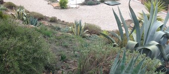 Villa El Olivo, rural villa with pool