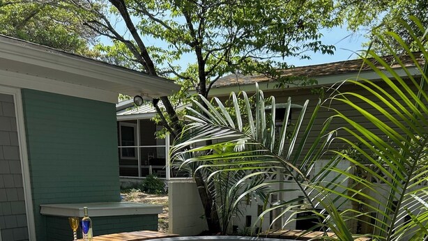Un jardin avec un jacuzzi, une terrasse en bois et une plante en pot.