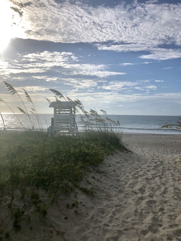 Playa en los alrededores y camastros 