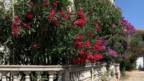 En byggnad av sten med en balkong, omgiven av blommande växter.
