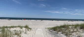 Prime Beach House & Huge Private Back Yard - Steps to the beach & Shark Park!