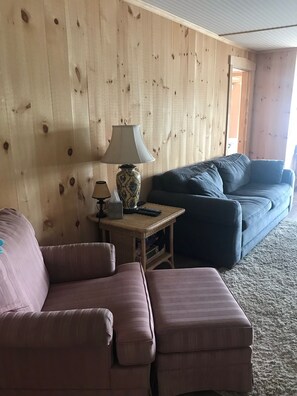 A cozy living room with a wooden wall, a blue sofa, a pink sofa, and a small table with a lamp and remote controls. - Lake Front Taylor Pond Cottage (Auburn)