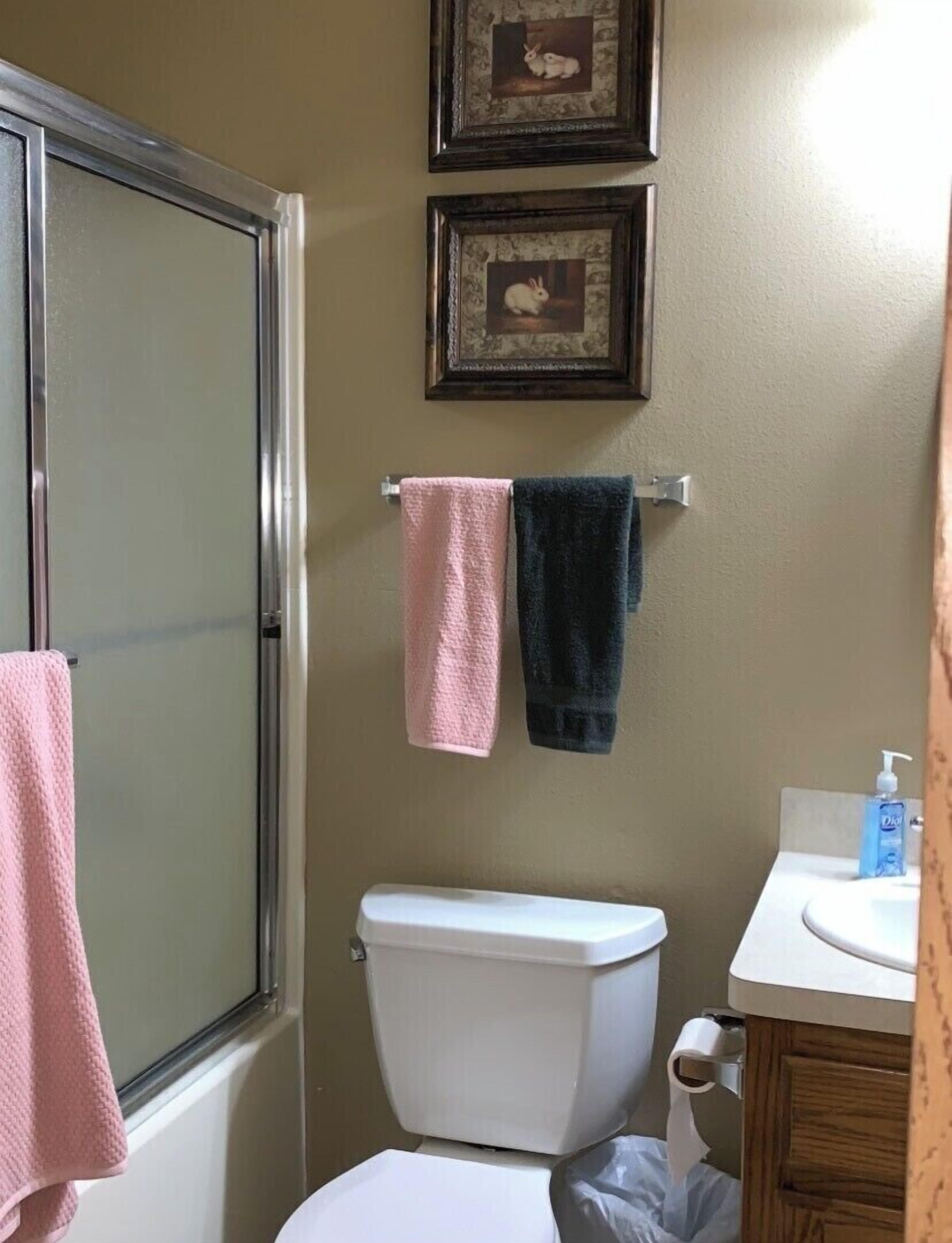 A bathroom with a toilet, a sink, and two towels hanging on a rack.