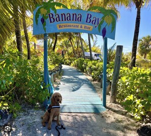 Terrain de l’hébergement 