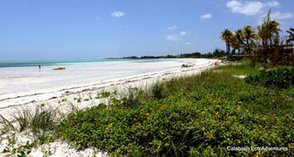 Spacious 3 Bed, 2 Bath Winter escape, near beach, includes car