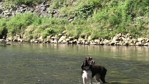 A river with rocks and vegetation on the banks. - Country River Cabin (Murphy)
