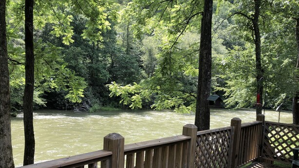 A wooden deck overlooking a river with dense greenery and trees. - Country River Cabin (Murphy)