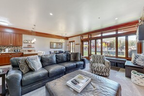 TV, fireplace, books