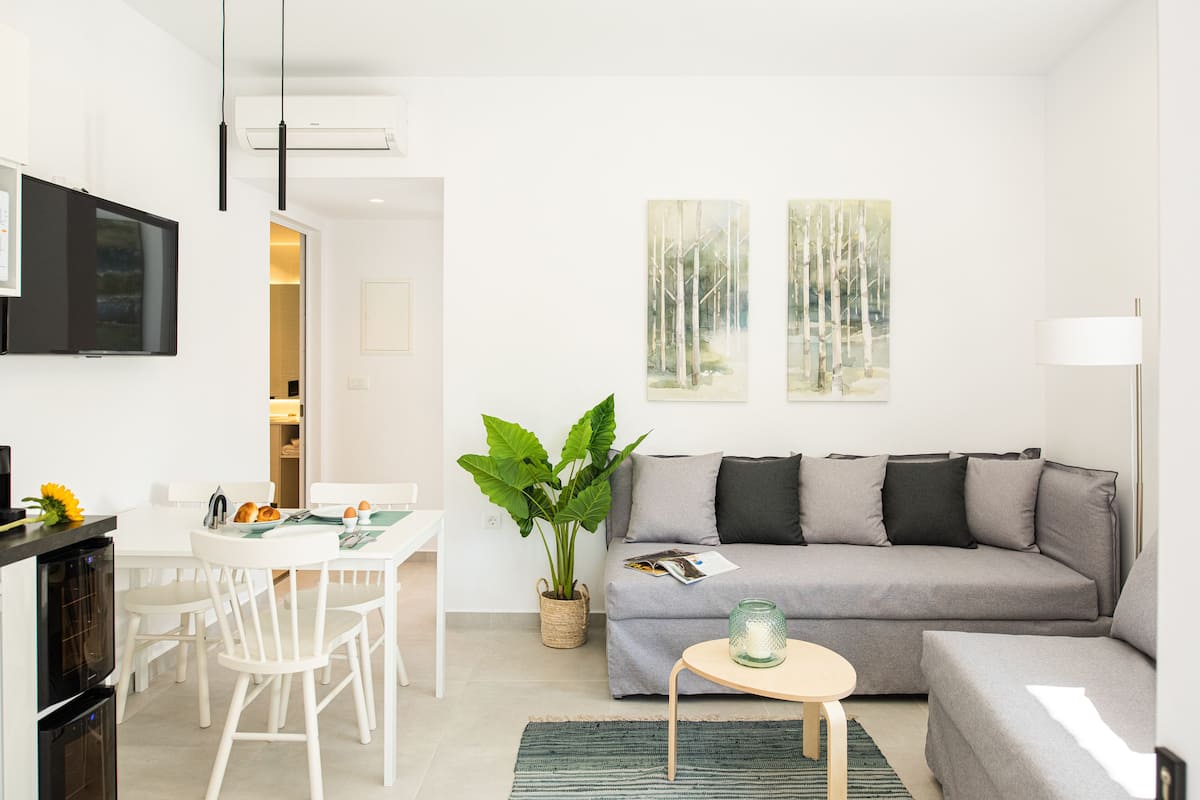 Superior Apartment | Living area | 45-inch Smart TV with satellite channels, TV, Netflix