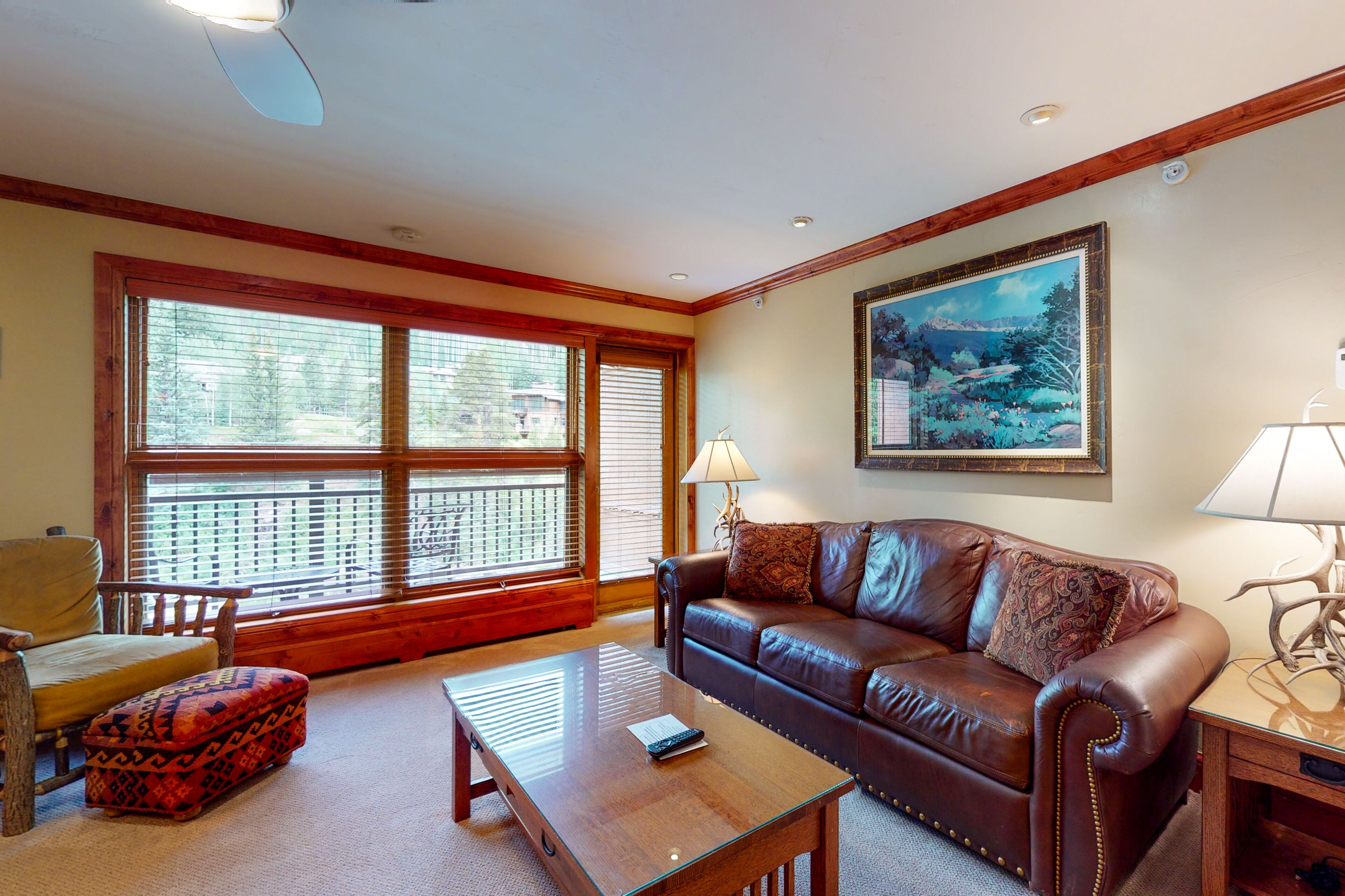 电视、壁炉、书