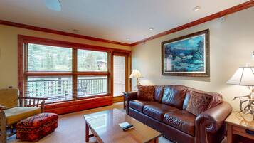 TV, fireplace, books