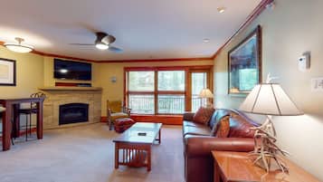 TV, fireplace, books