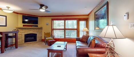 電視、壁爐、書籍